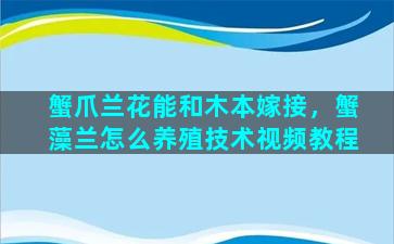 蟹爪兰花能和木本嫁接，蟹藻兰怎么养殖技术视频教程