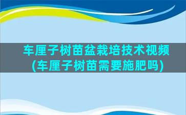 车厘子树苗盆栽培技术视频(车厘子树苗需要施肥吗)