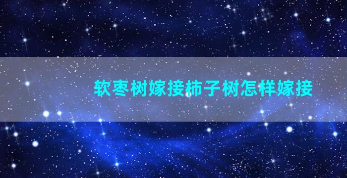 软枣树嫁接柿子树怎样嫁接