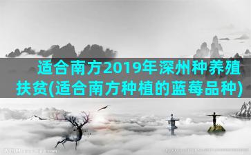 适合南方2019年深州种养殖扶贫(适合南方种植的蓝莓品种)