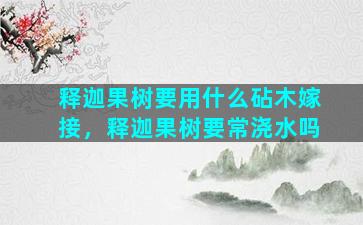 释迦果树要用什么砧木嫁接，释迦果树要常浇水吗