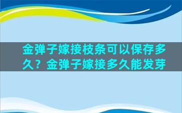 金弹子嫁接枝条可以保存多久？金弹子嫁接多久能发芽