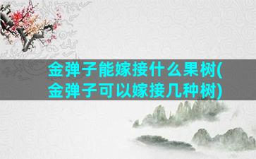 金弹子能嫁接什么果树(金弹子可以嫁接几种树)