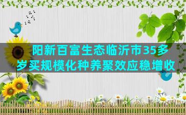 阳新百富生态临沂市35多岁买规模化种养聚效应稳增收