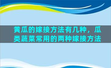 黄瓜的嫁接方法有几种，瓜类蔬菜常用的两种嫁接方法