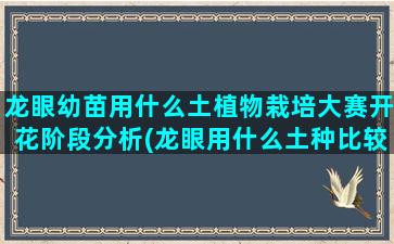 龙眼幼苗用什么土植物栽培大赛开花阶段分析(龙眼用什么土种比较好)